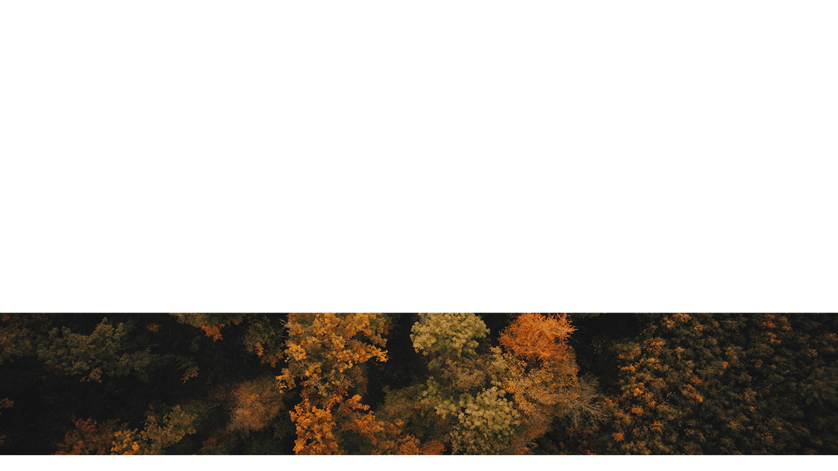 Autumn Foliage Lower Third 3