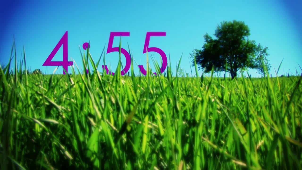 Single Tree Countdown