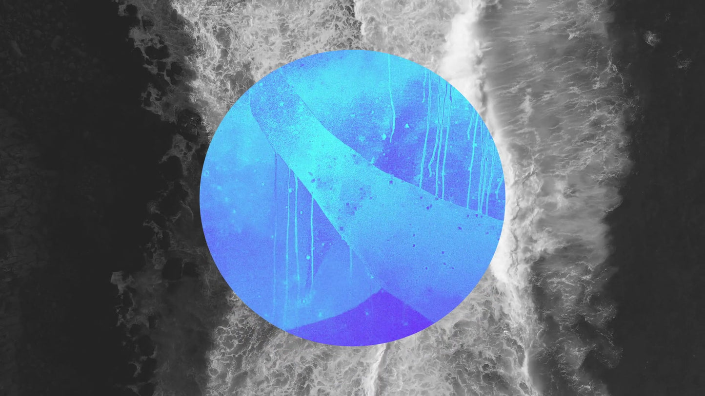 Vibrant Nature B 01