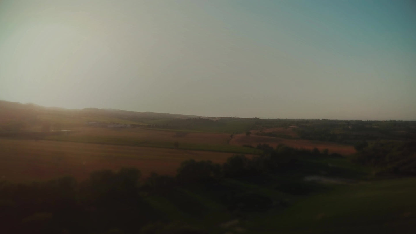 Open Fields Sweep