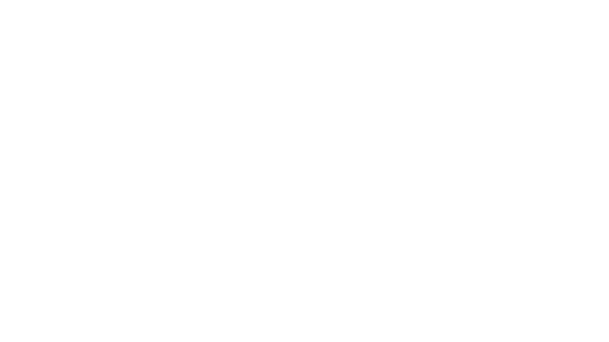 Infinite Flight Exit Transparency