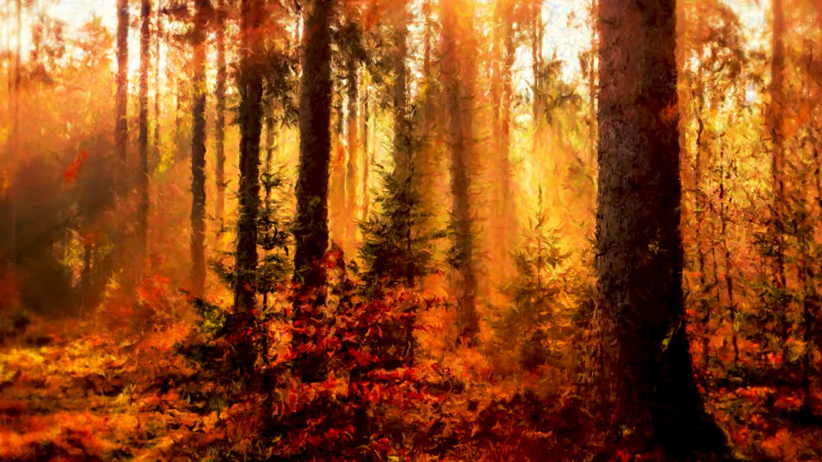 Autumn Vibes 8