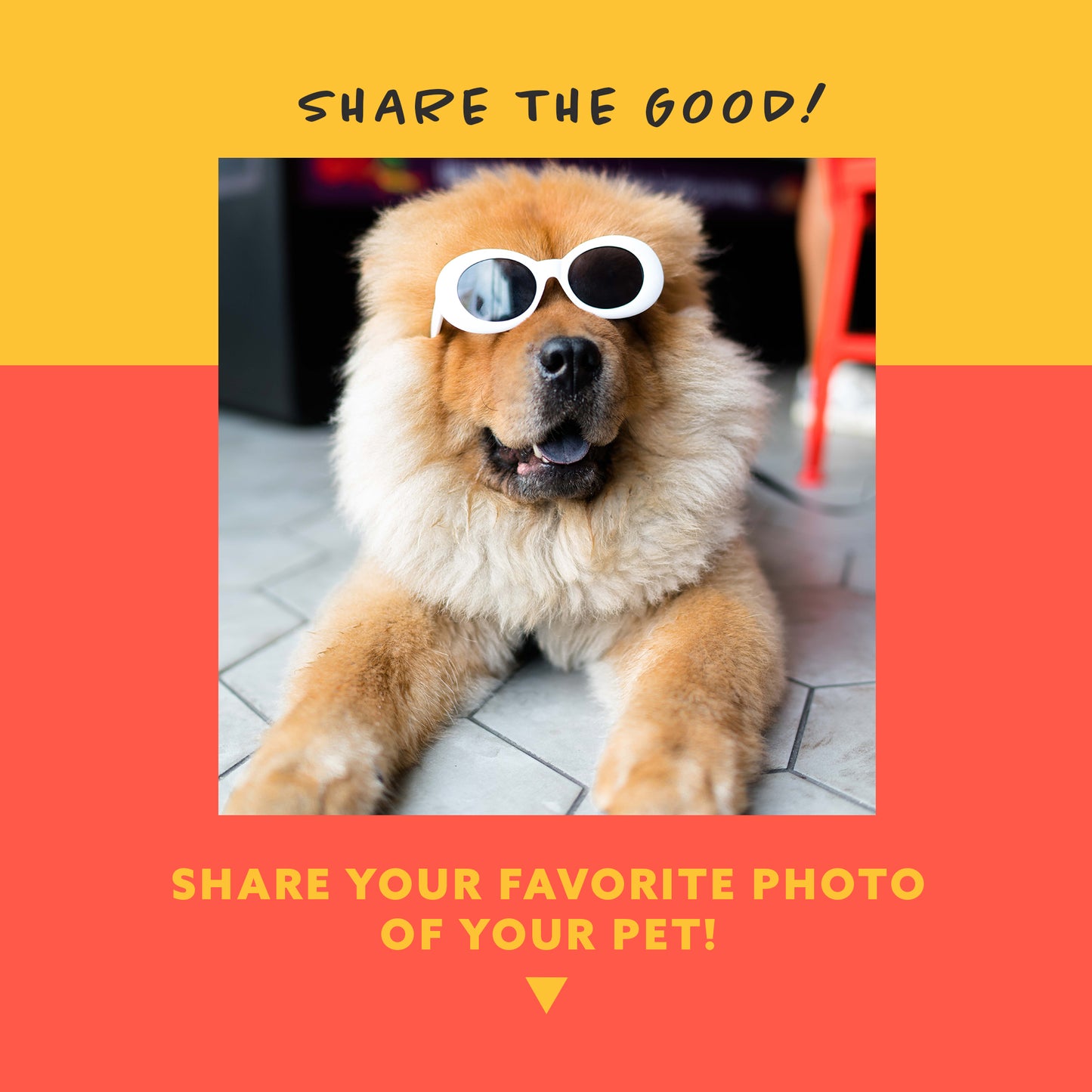 Share the Good - Pets