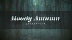 Moody Autumn