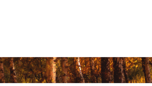 Autumn Vibes Lower Third 6