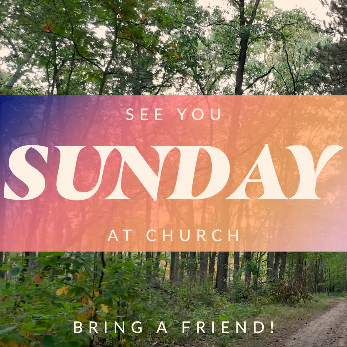 The Forest Grow in Grace Sunday