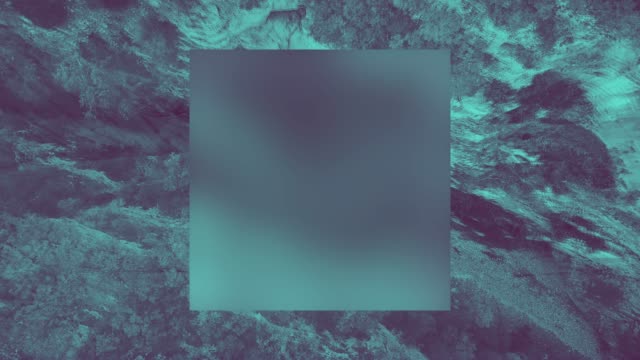 NZ Mashup 6 Alt Motion