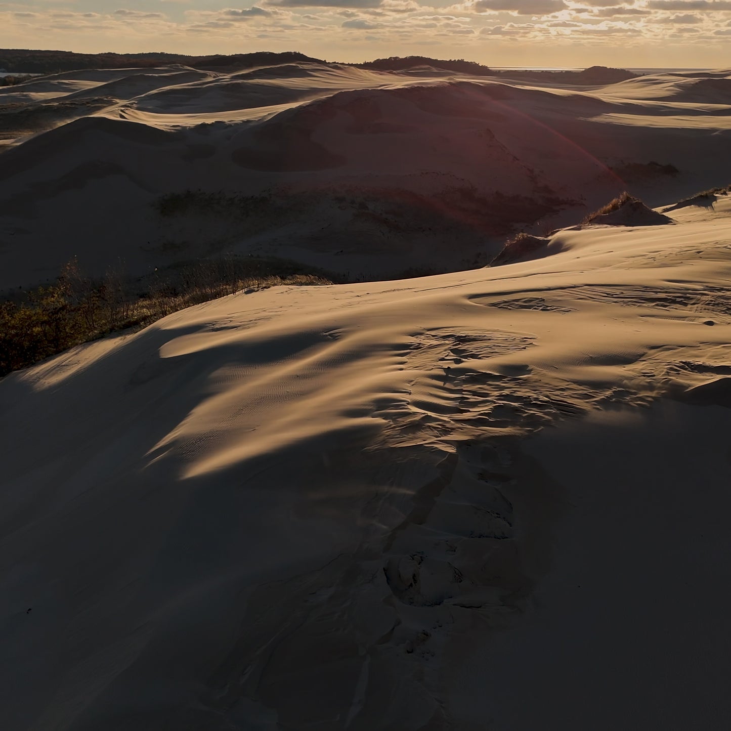 The Dunes Pray Blank