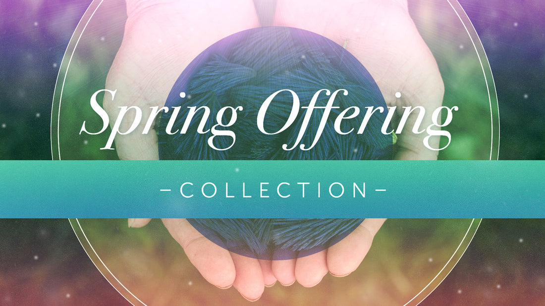 Spring Offering Collection | Shift Worship