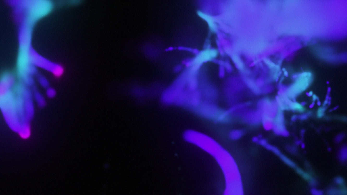 Deep Glow 01