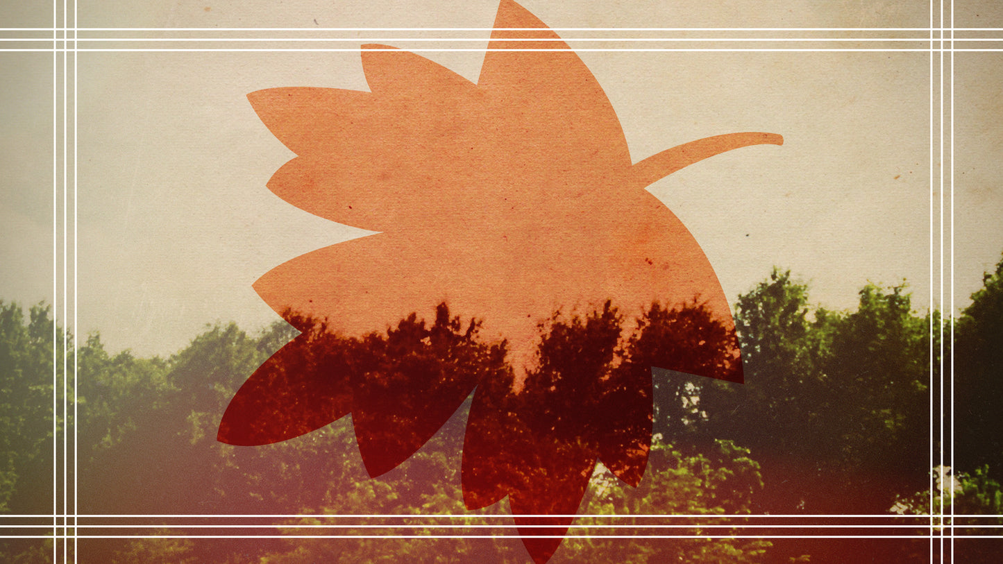 Canada Leaf Blank