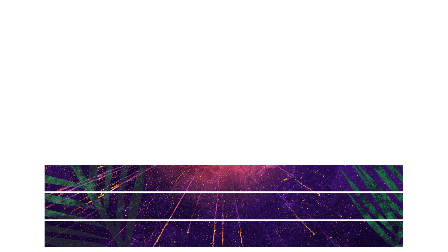 Vivid Palm Sunday Lower Third Blank 03
