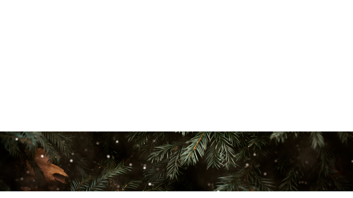 Evergreen Lower Third 8