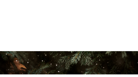 Evergreen Lower Third 8