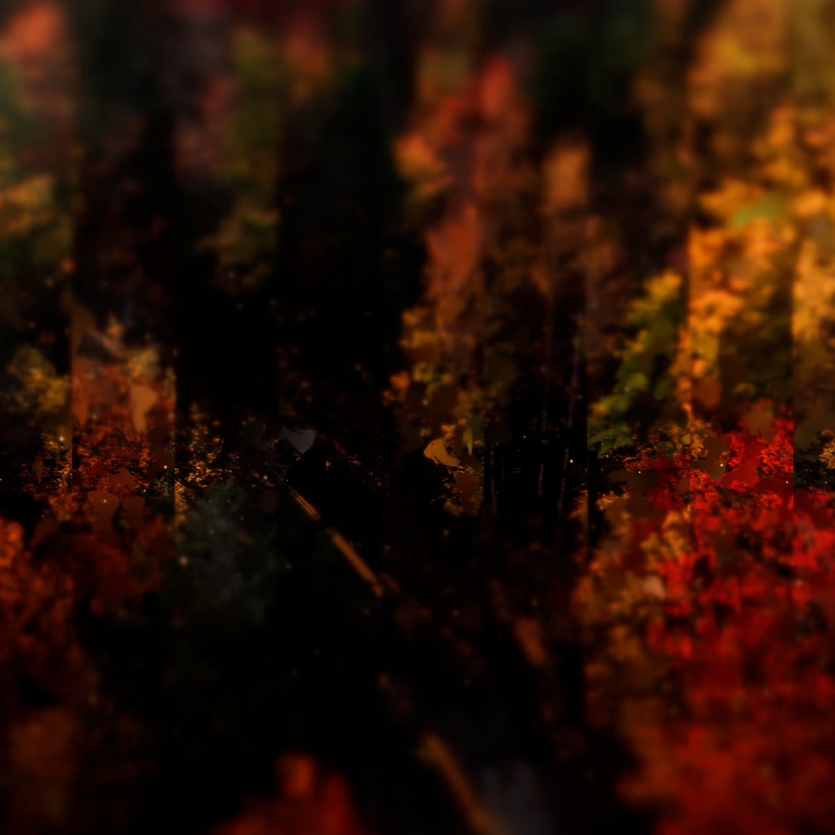 Autumns End Giving Blank