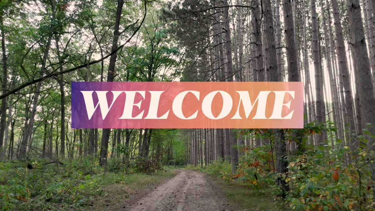 The Forest Welcome