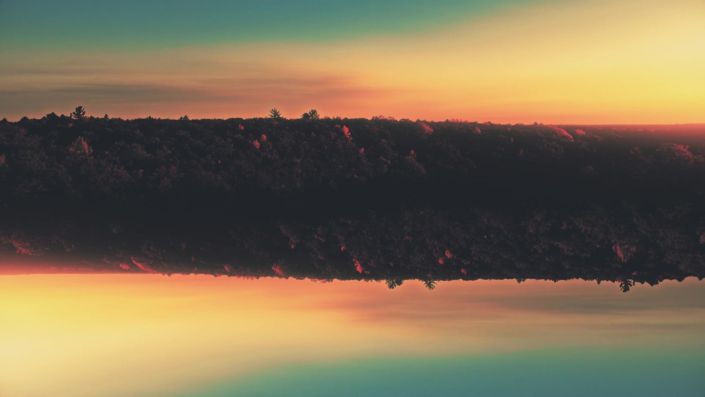 Foliage Remixed 09