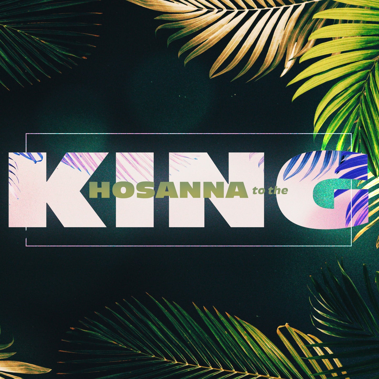Vibrant Palms Title