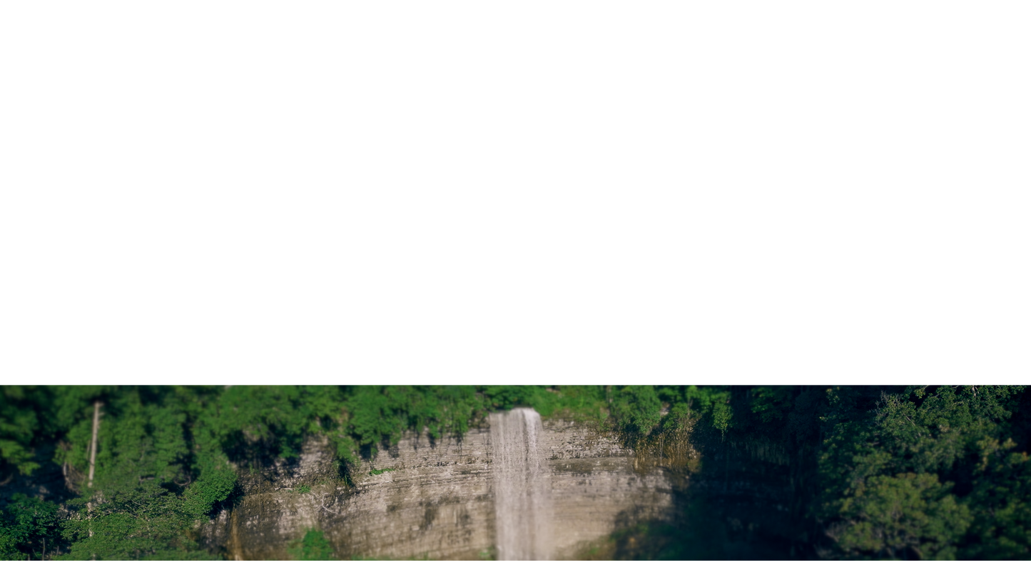 Natures Force Lower Third 9