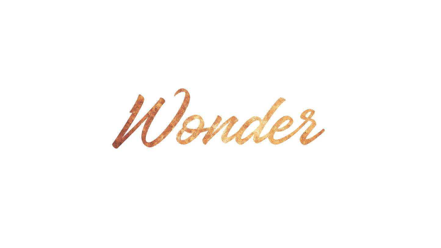 Advent Gold Wonder