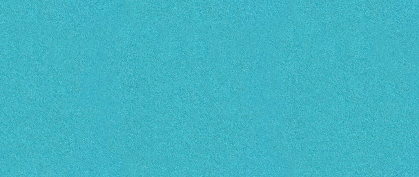 Palm Sunday Flannelgraph Darker Sky