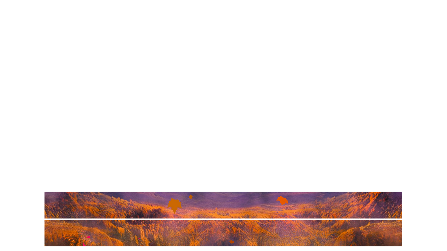 Surreal Fall Lower Third Blank 02