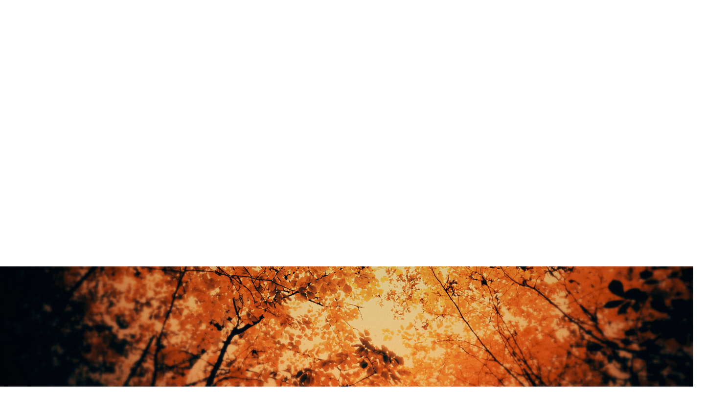 Autumn Fire Lower Third 3