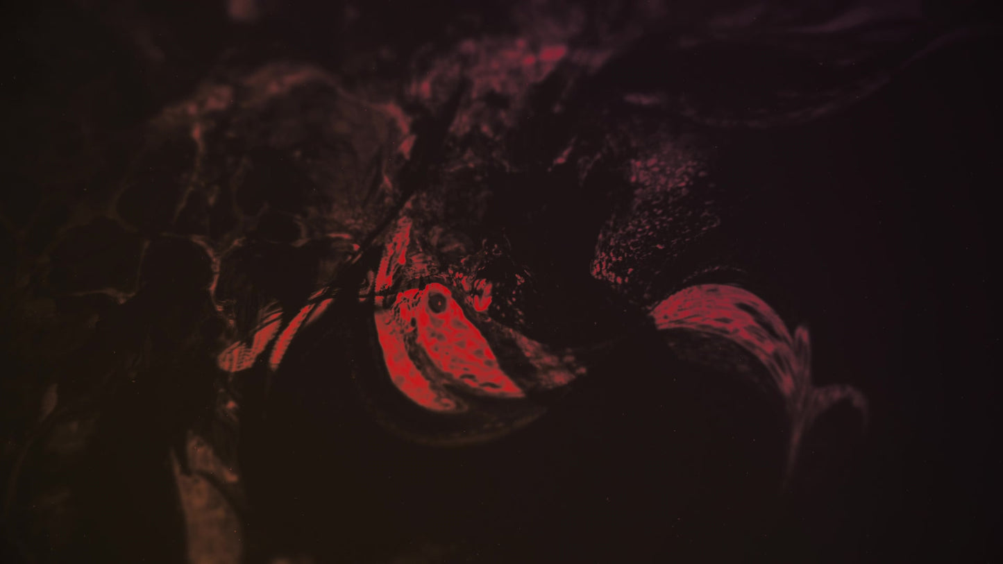 Dark Distortion 3 Color