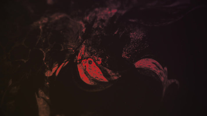 Dark Distortion 3 Color Still | Shift Worship