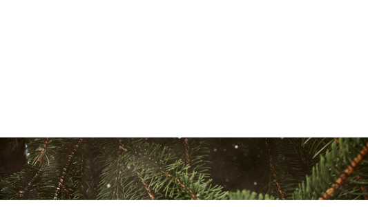 Evergreen Lower Third 3