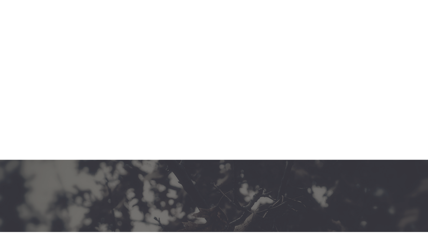 Bleak Beauty Lower Third Full 1