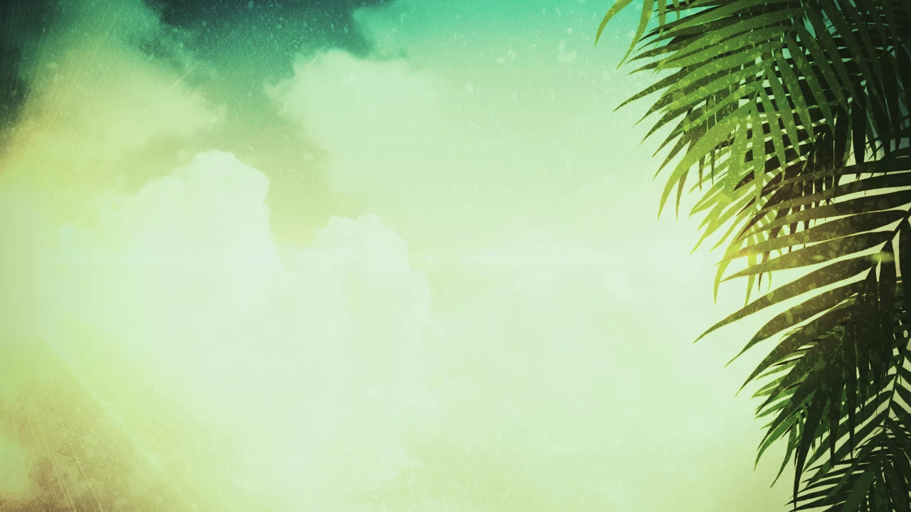Palm Sunday Still 04