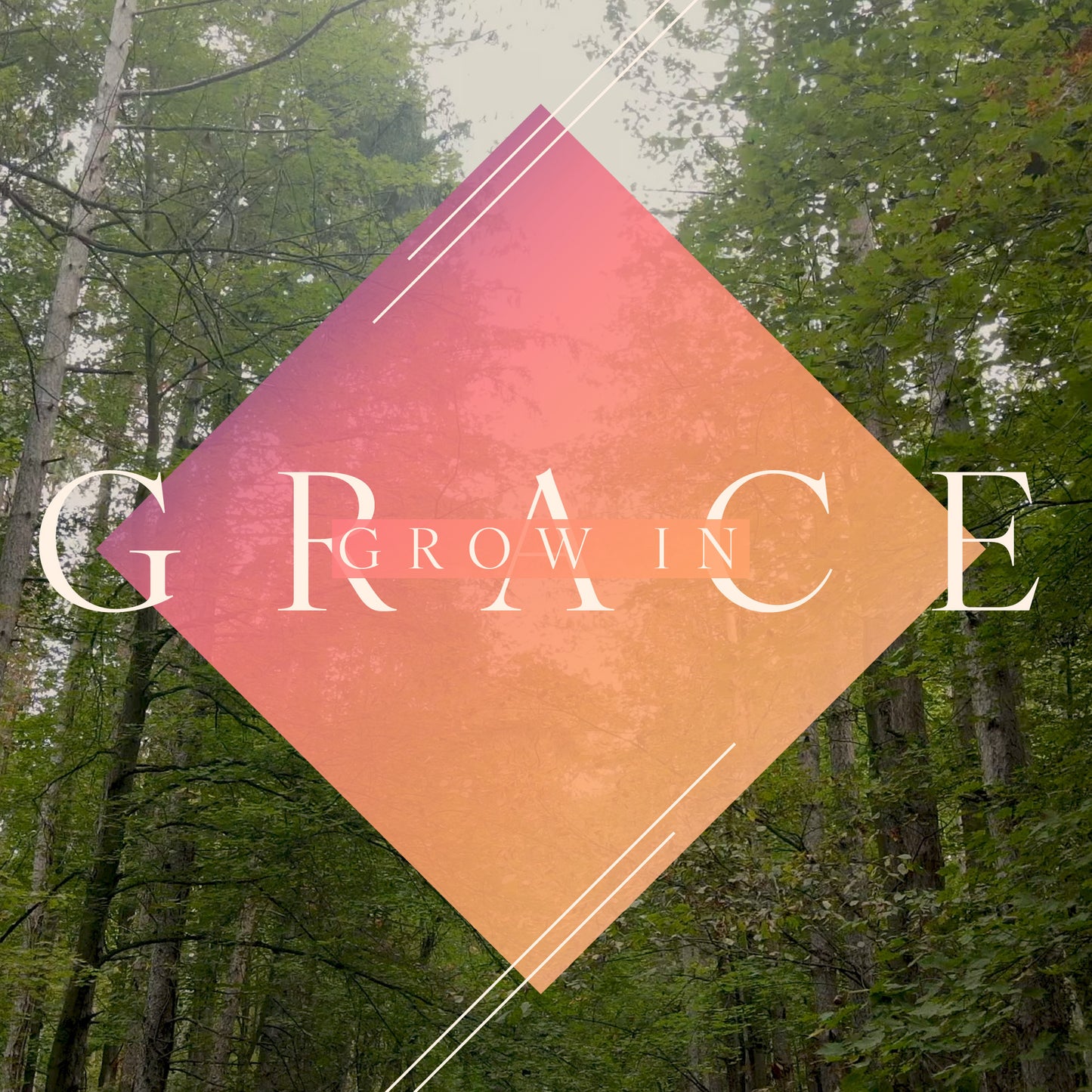The Forest Grow in Grace Title