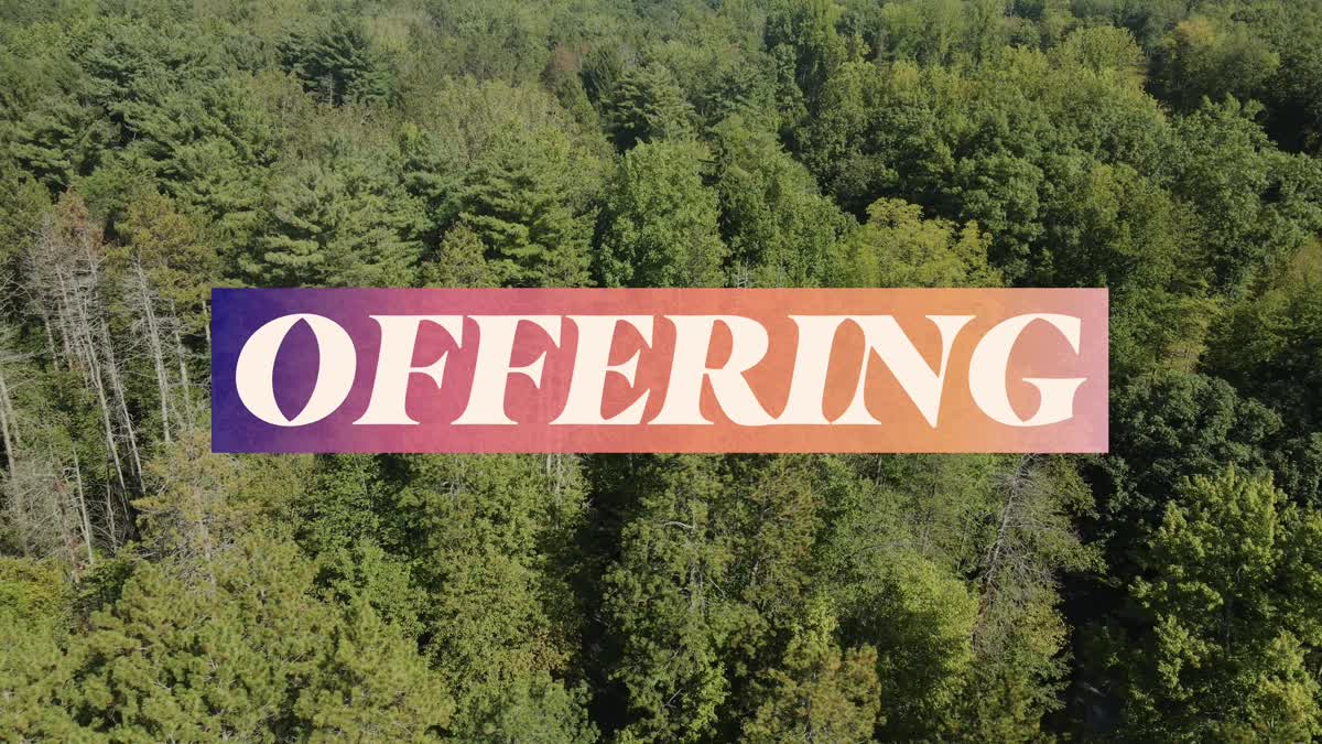 The Forest Offering