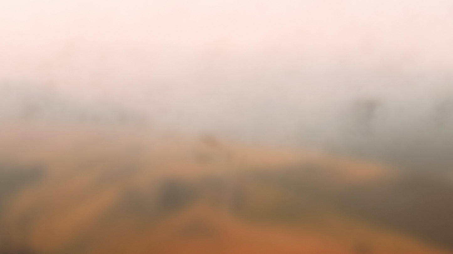Muted Landscapes Field