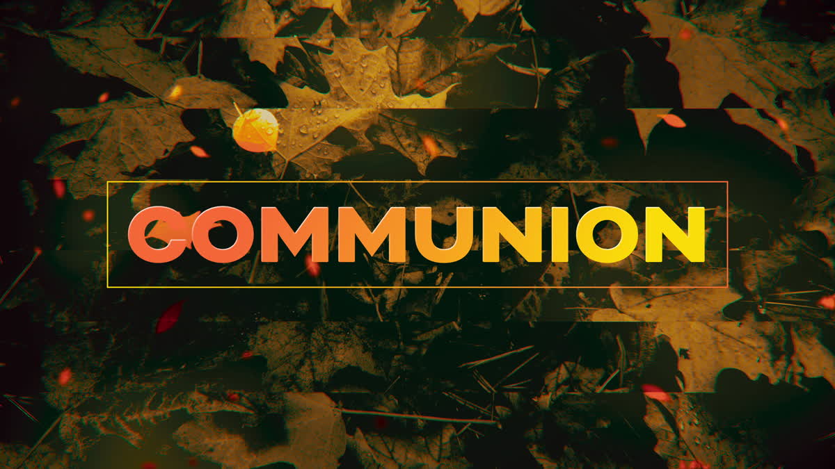 Autumn Memories Communion