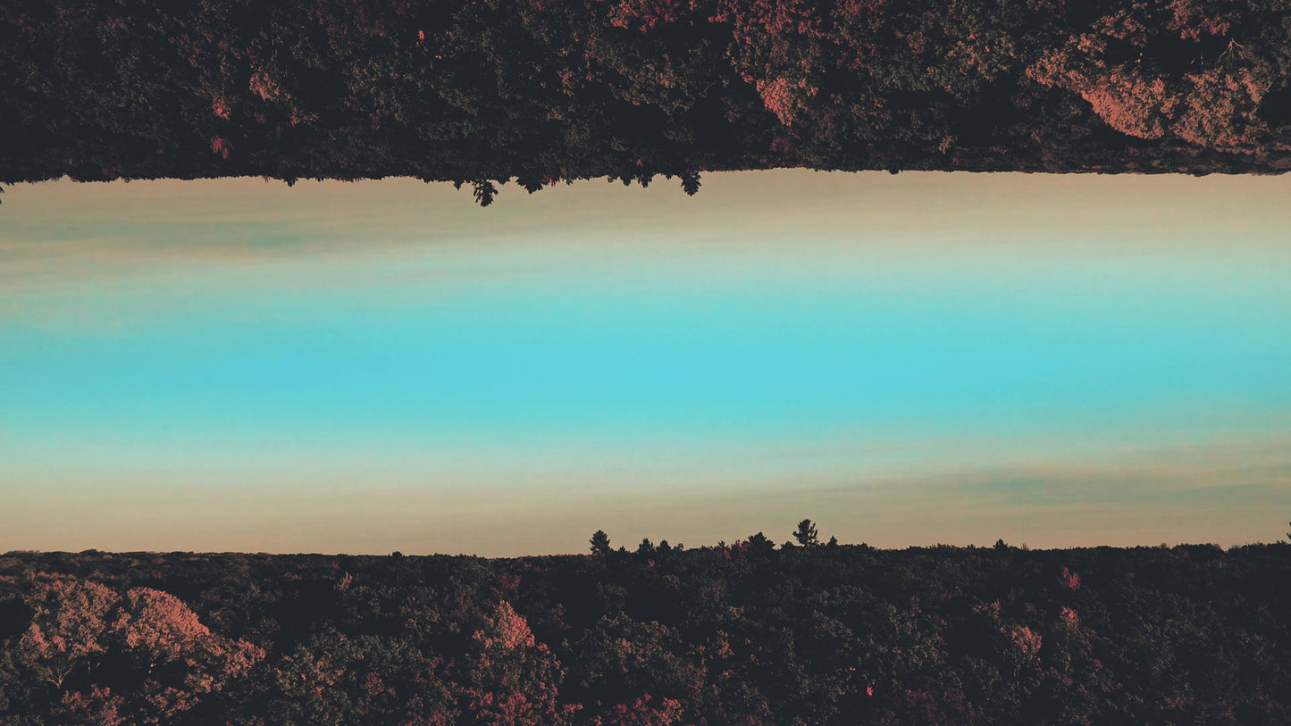 Foliage Remixed 13