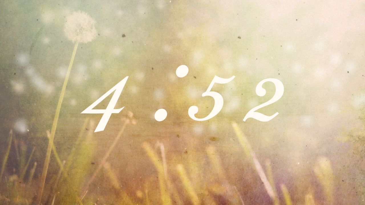 Dandelion Countdown