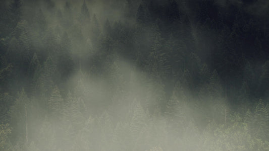 Lumberjack Dad Treeline
