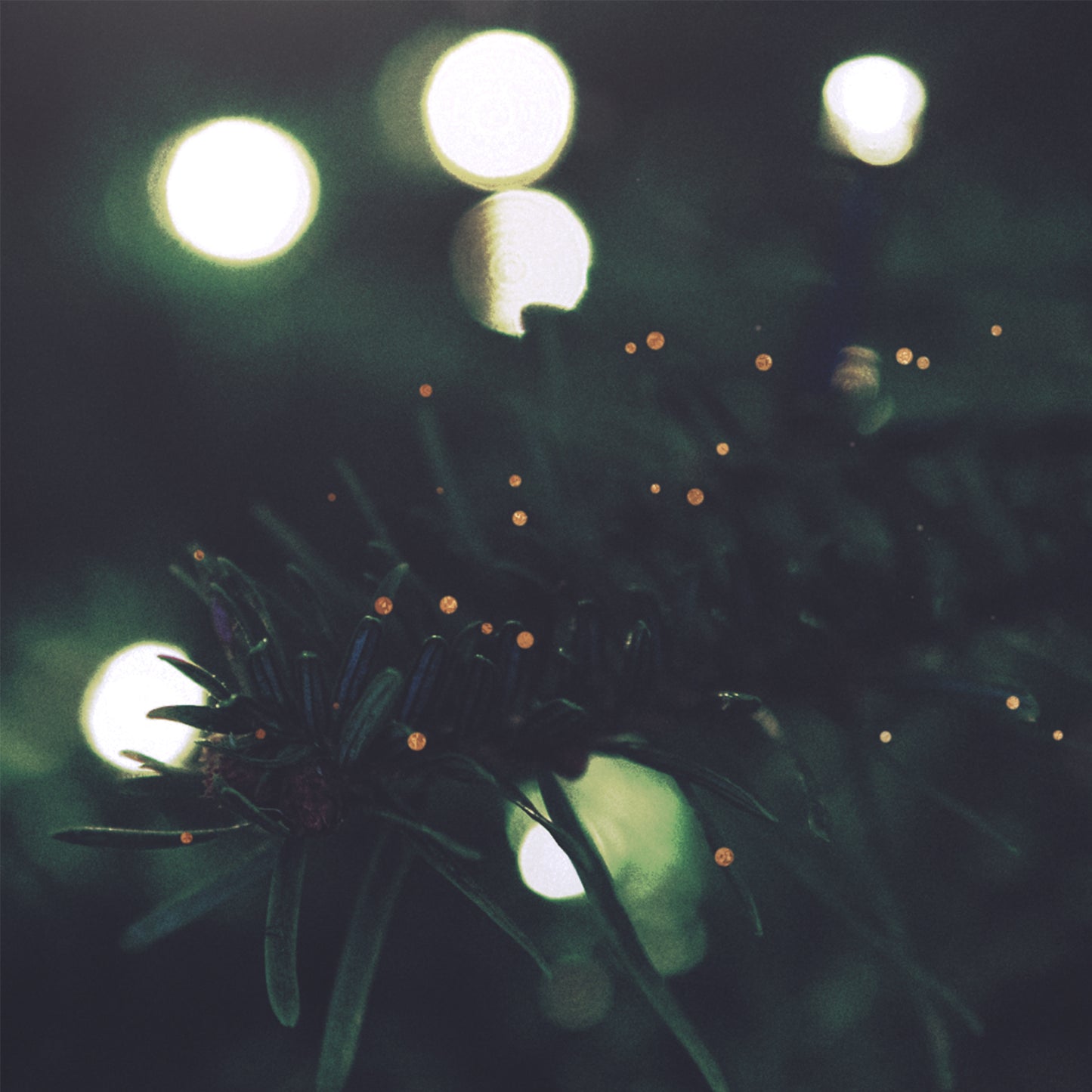 Christmas Textures