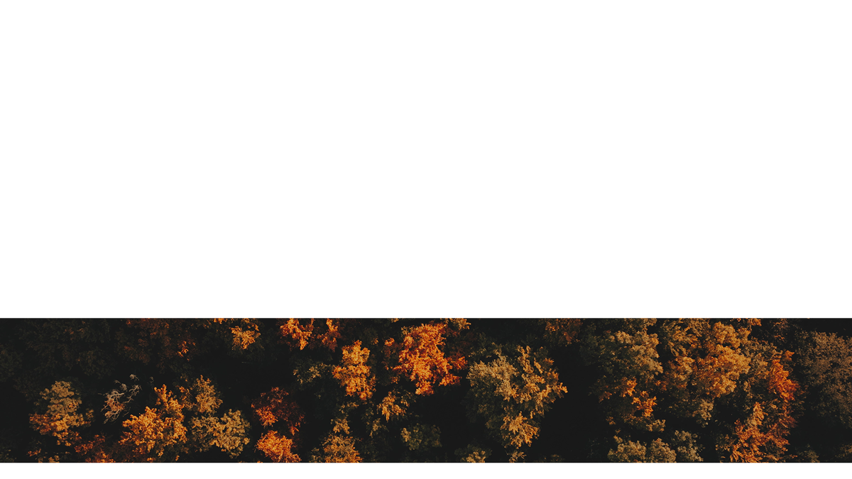 Autumn Foliage Lower Third 8