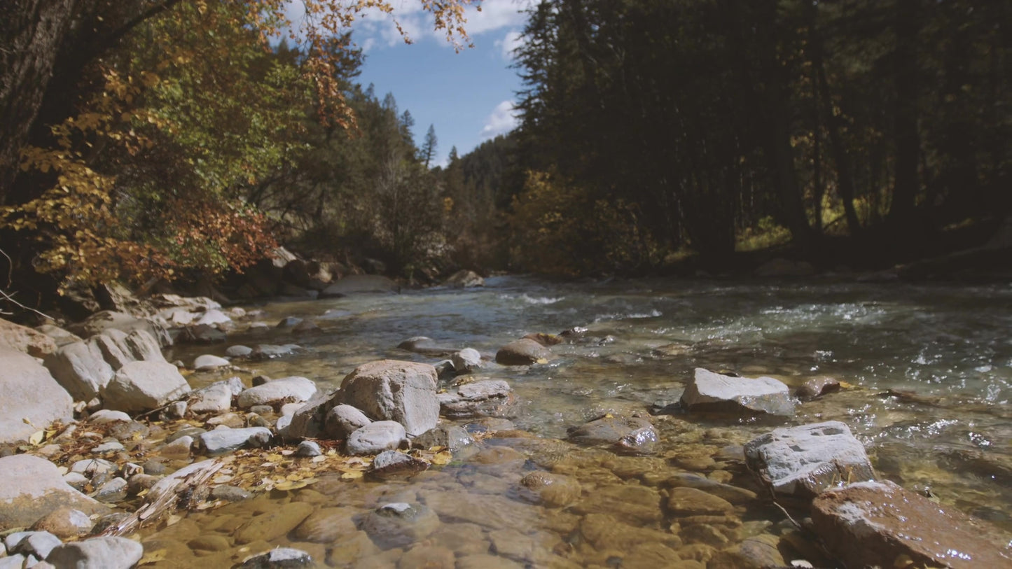 Mountain Hike 01