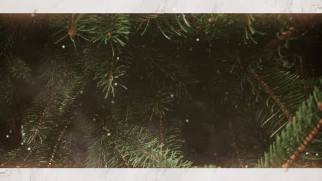 Evergreen 3 Alt