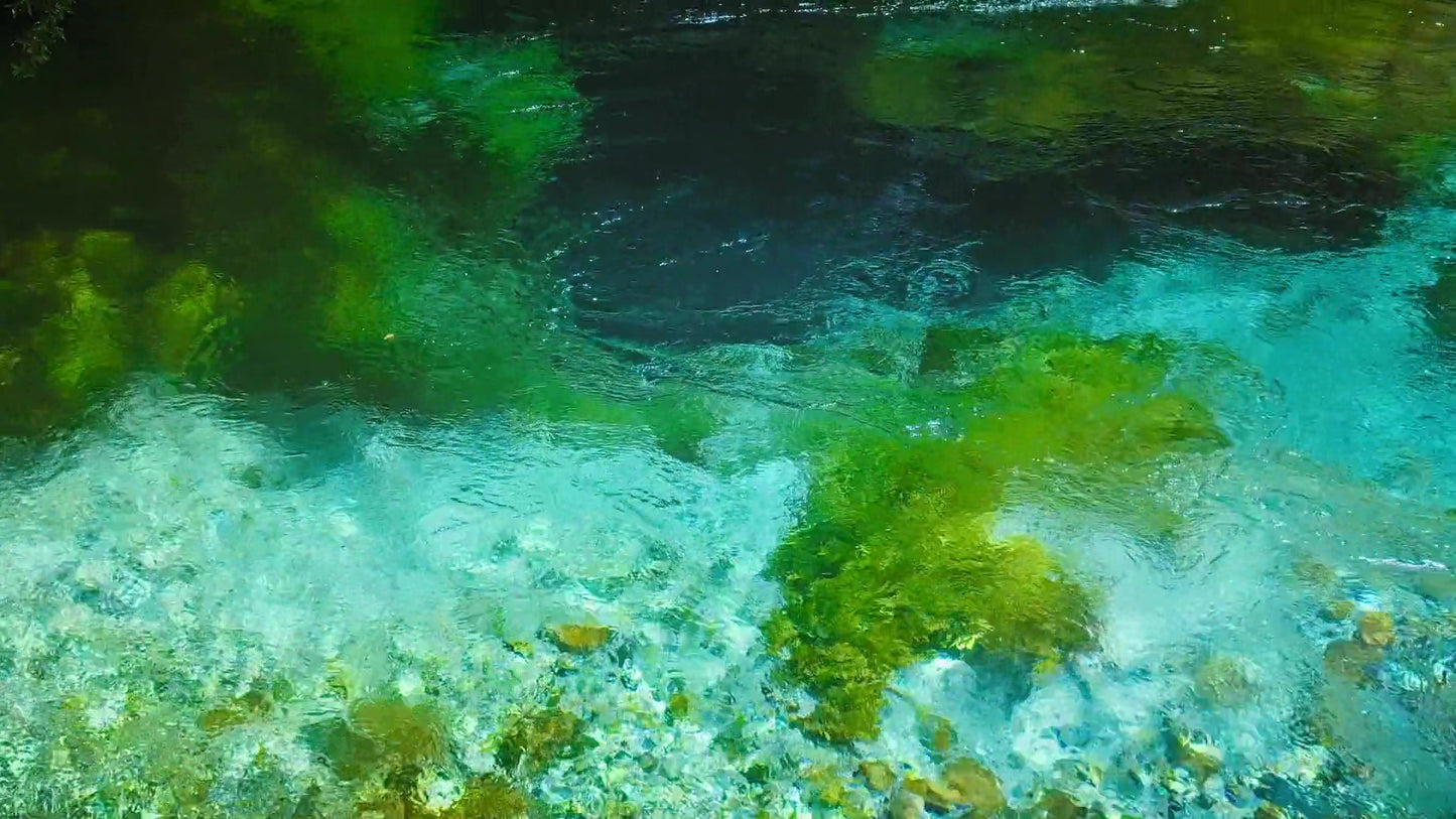 Blue Eye 9