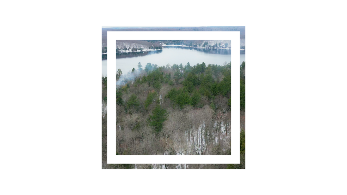 Winter Woods Square 01