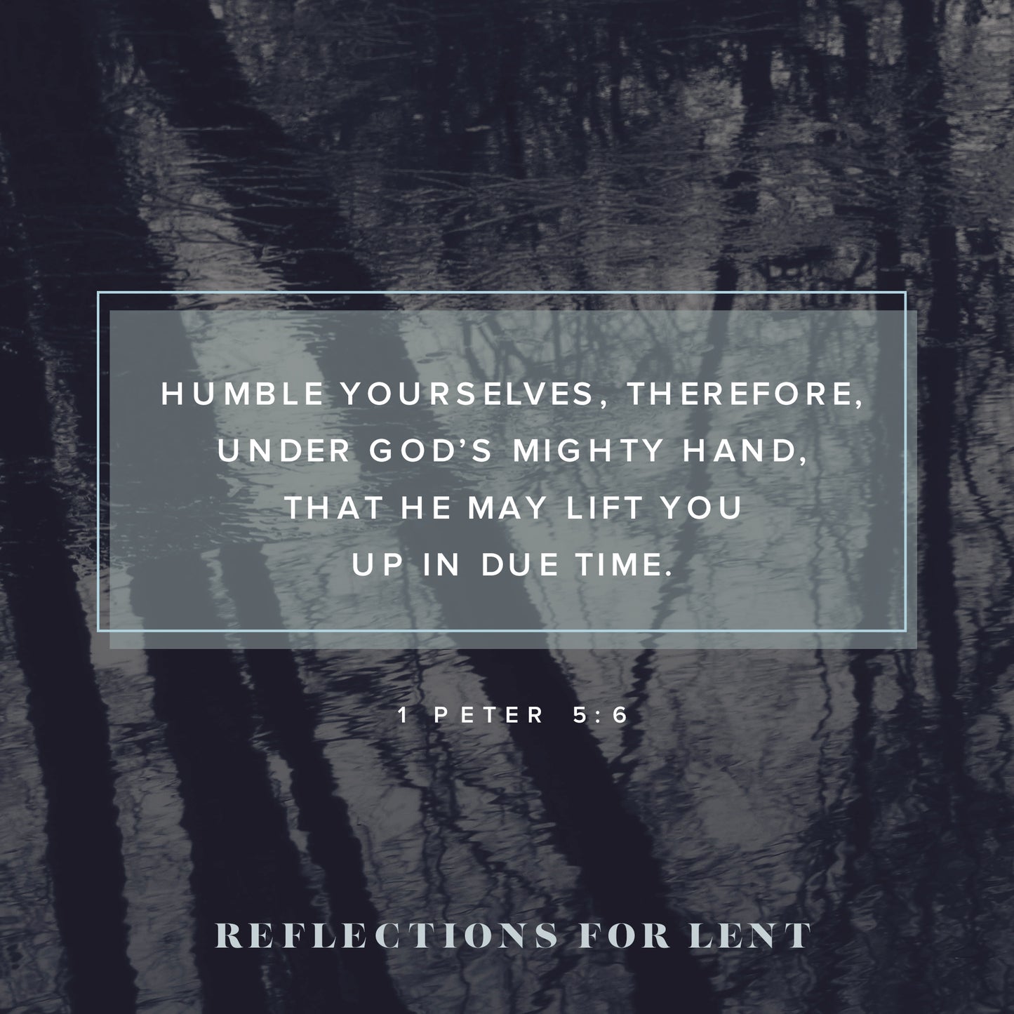Reflections For Lent 3