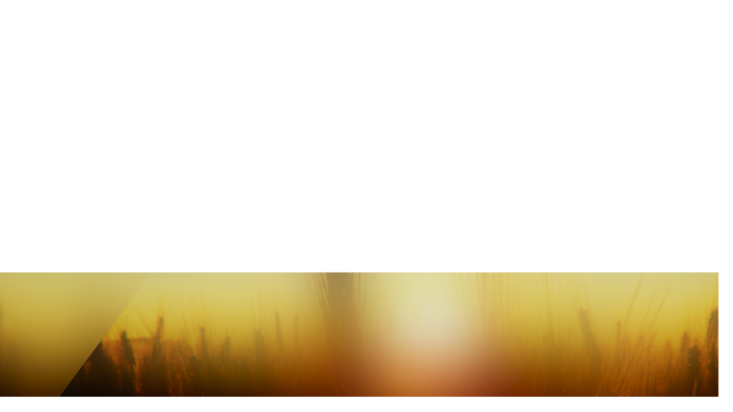 Days End Lower Third 3