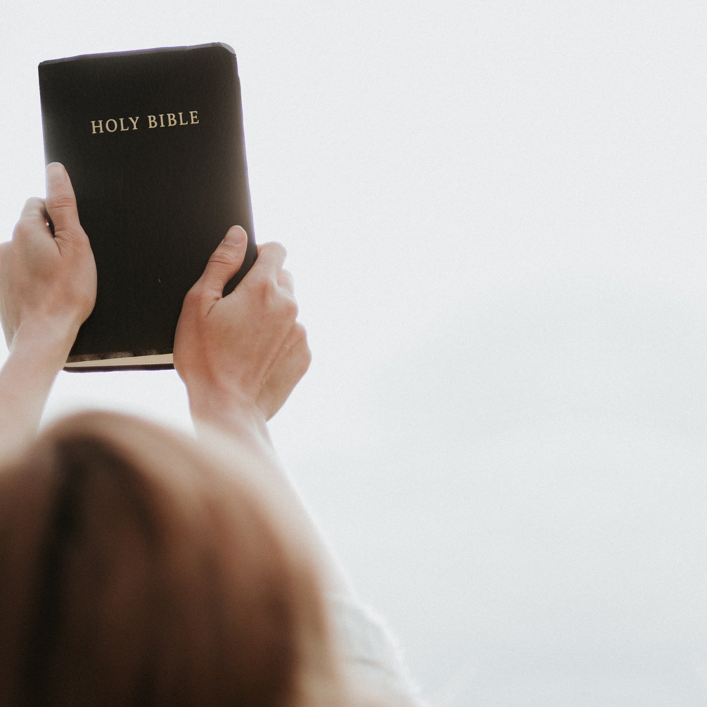 Scruipture Challenge