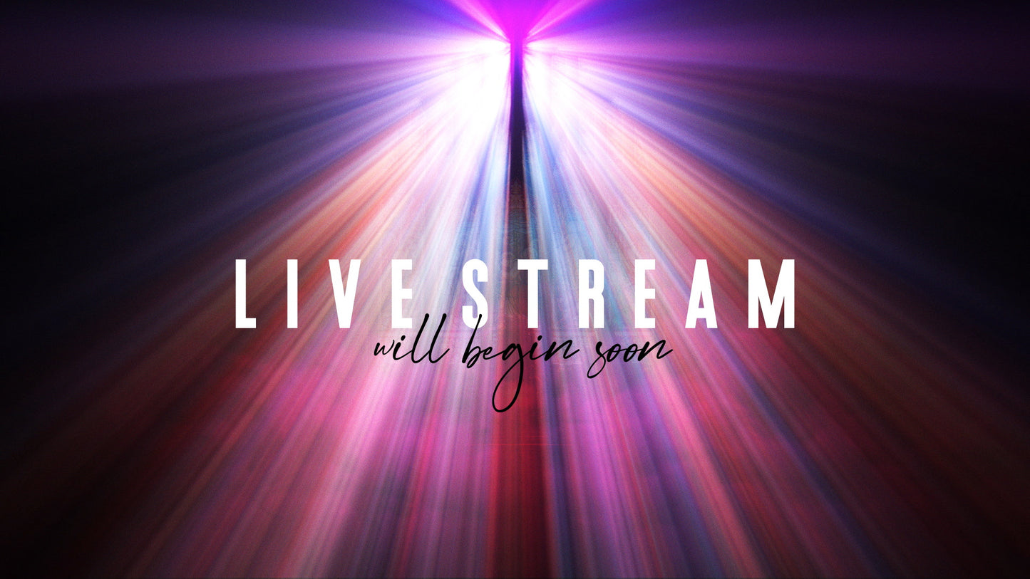 Illuminate Live Stream Still