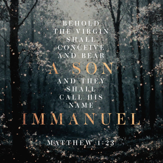 Snow Day Scripture